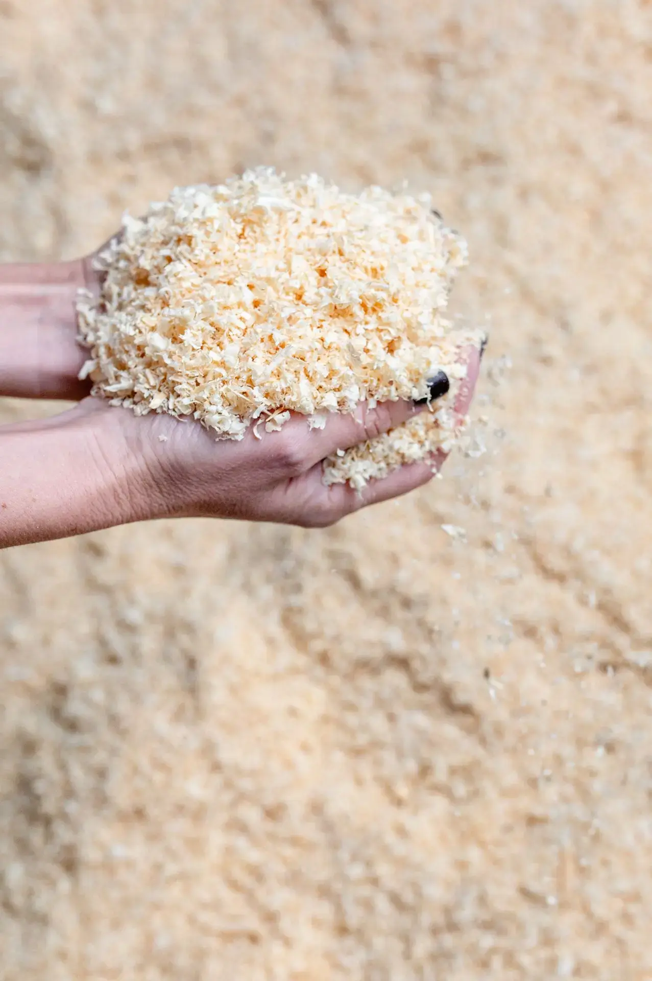 wood pellet material