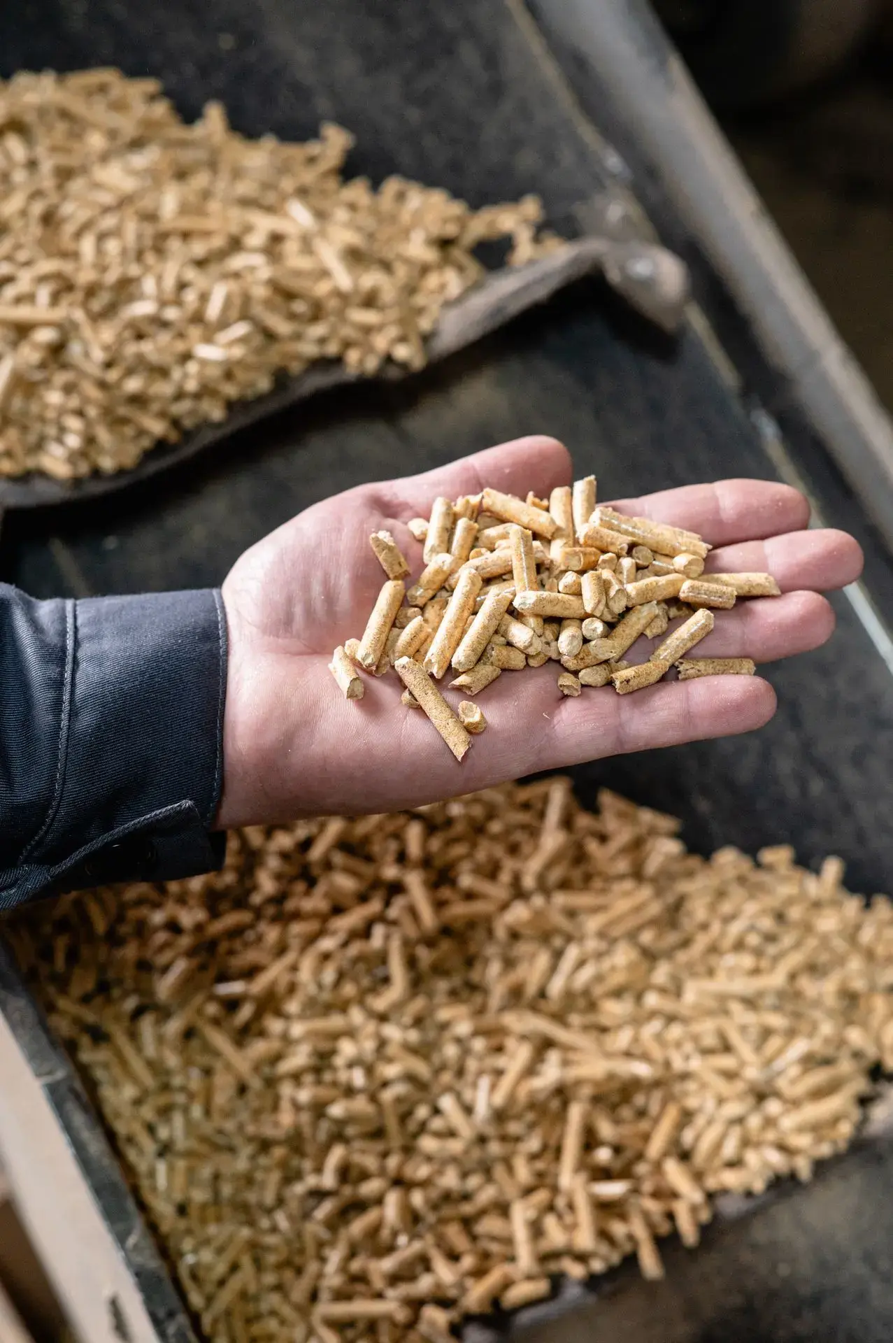 wood pellet production line